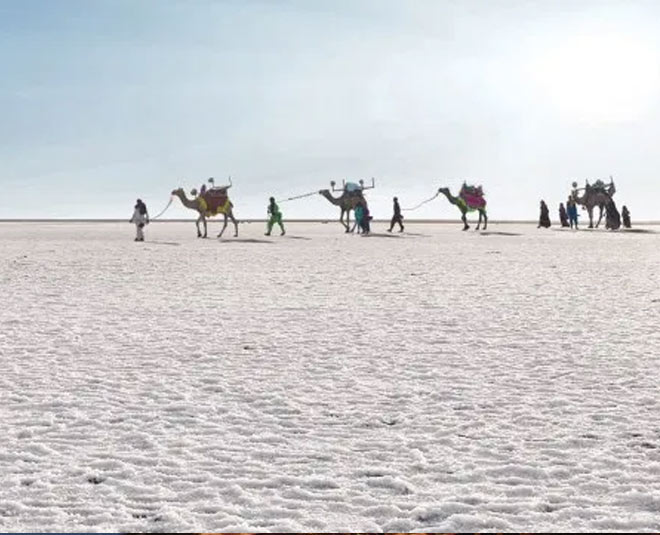 best places to visit in november run of kuch inside