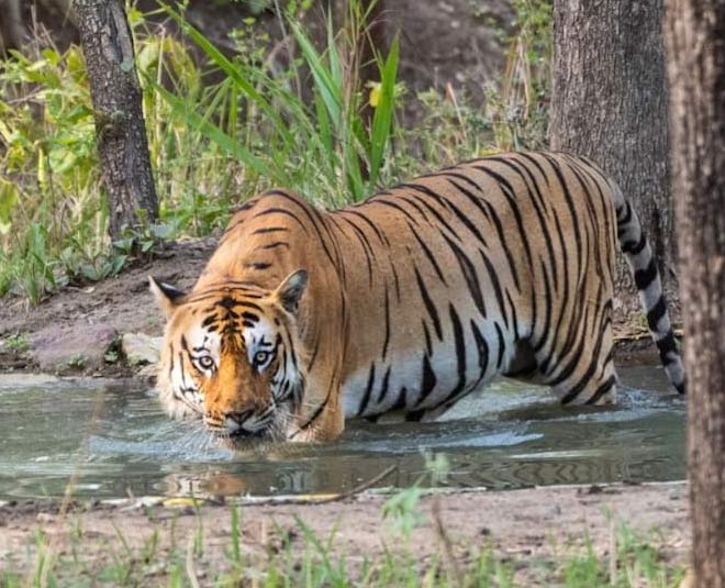 jim corbett weekend getaway