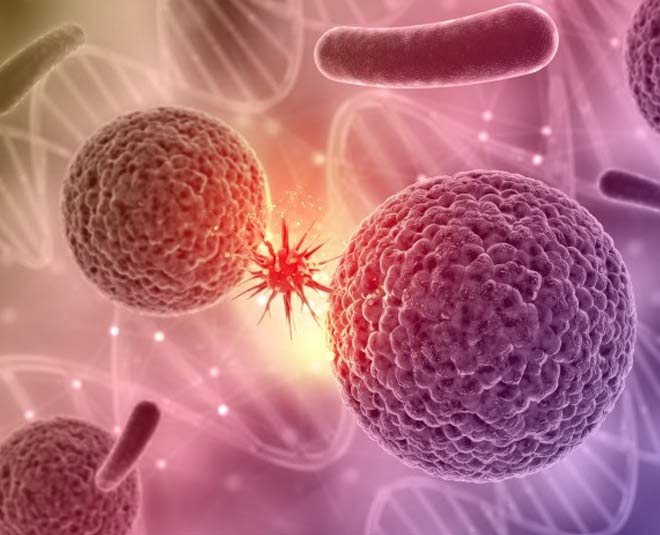 pine nuts cancer inside