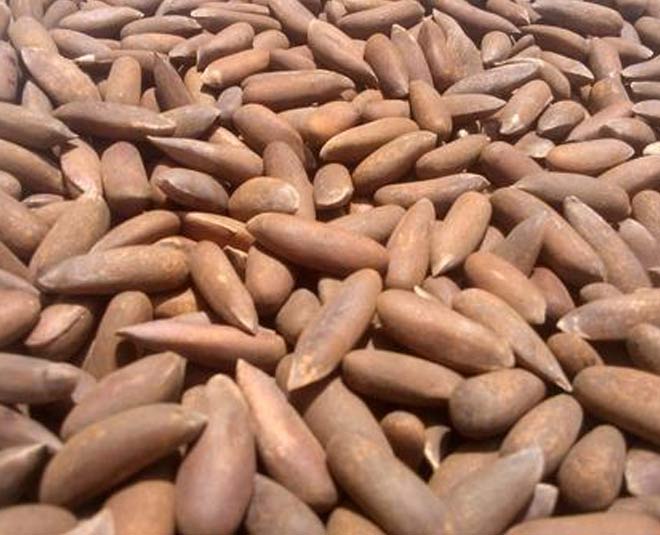 pine nuts chilgoza inside