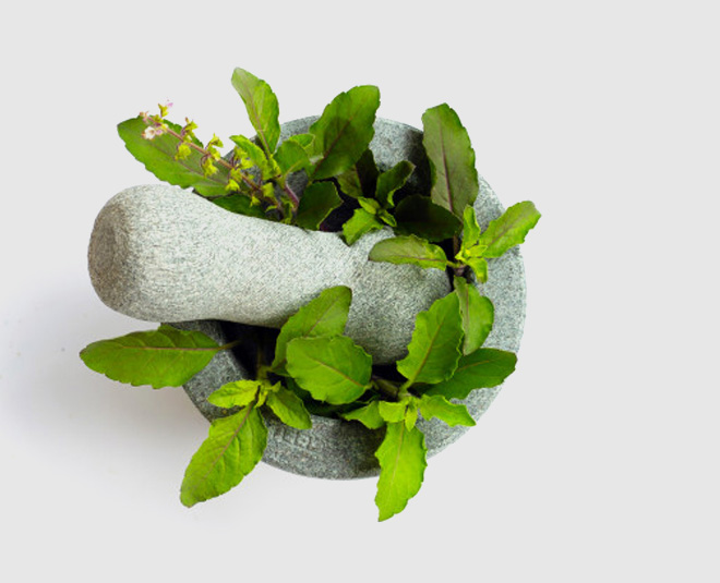 tulsi benefits pollution