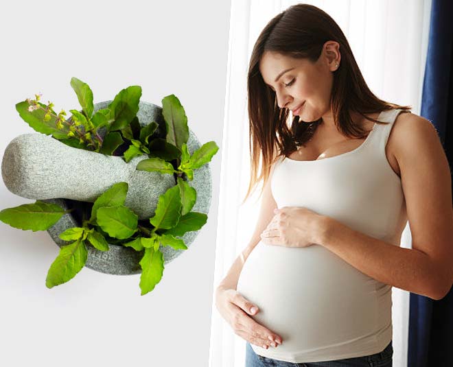 tulsi patti in pregnancy