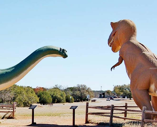 dinosaur fossil park balasinor in gujrat inside