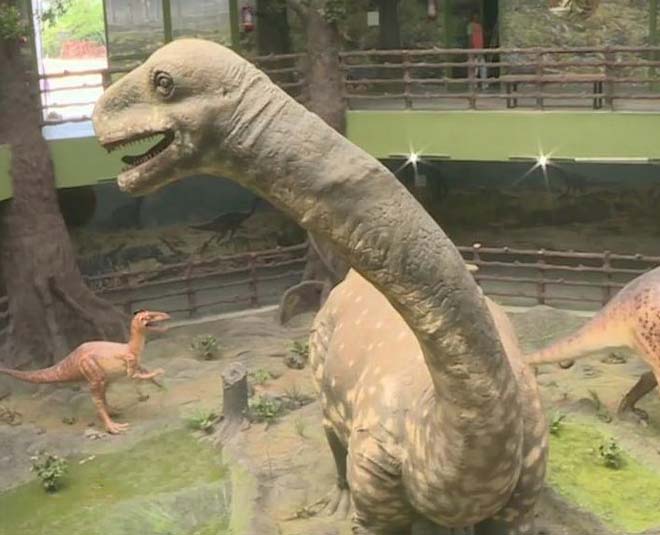 dinosaur fossil park balasinor in gujrat inside