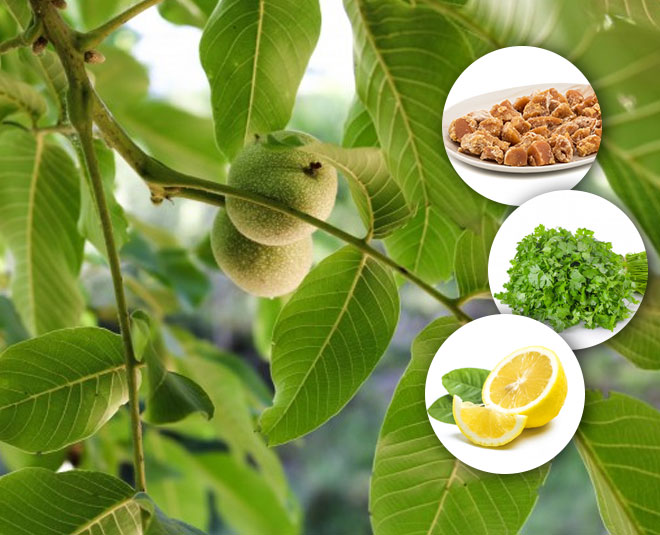 guava chutney recipe