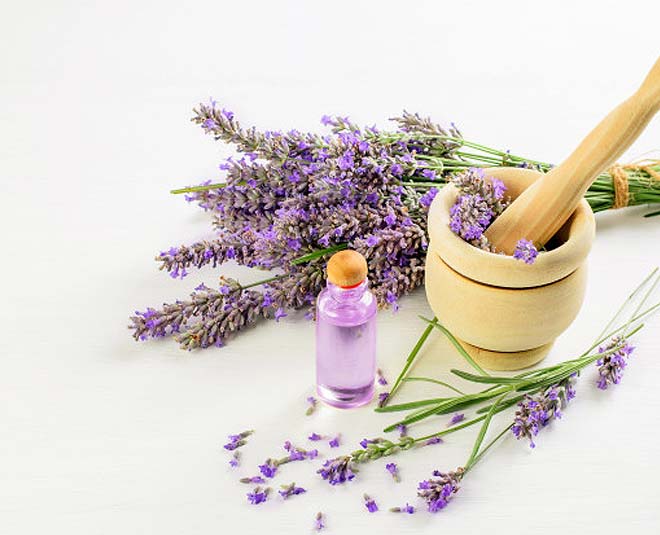 lavender oil uses