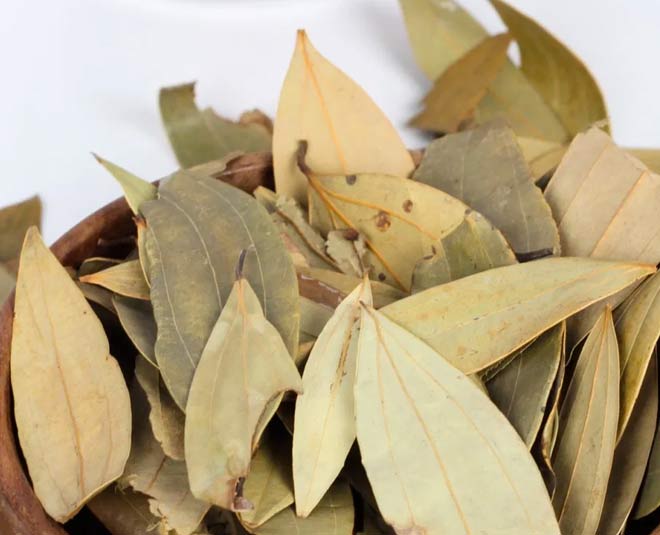 tej patta benefits inside