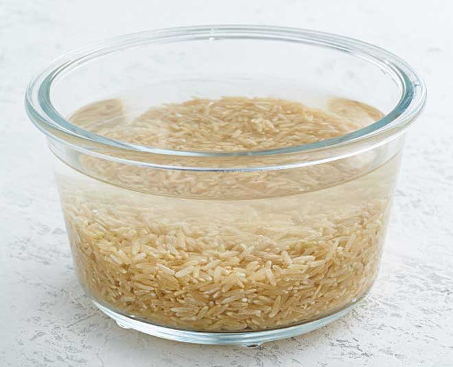 benefits of starch water for plants