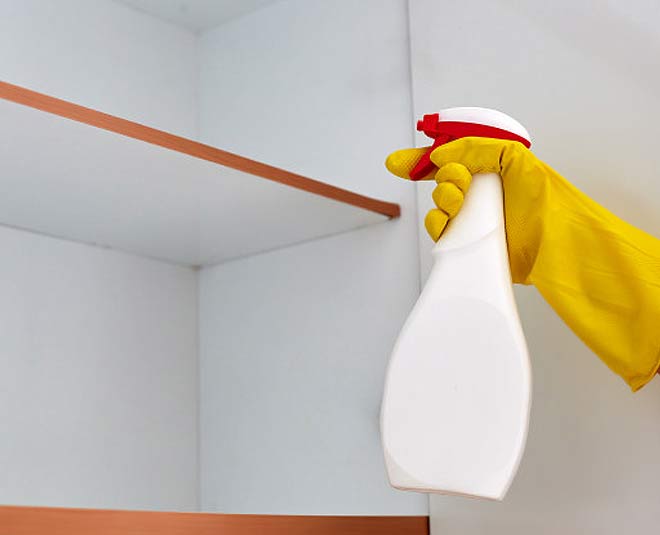 cockroaches pesticides