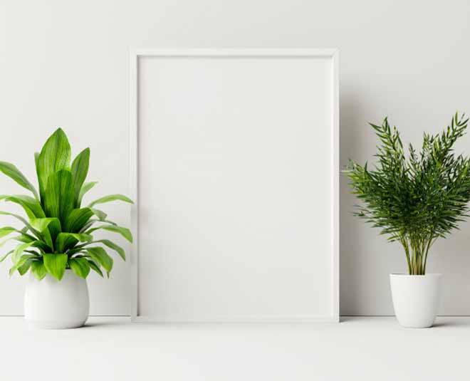 floating shelves inside