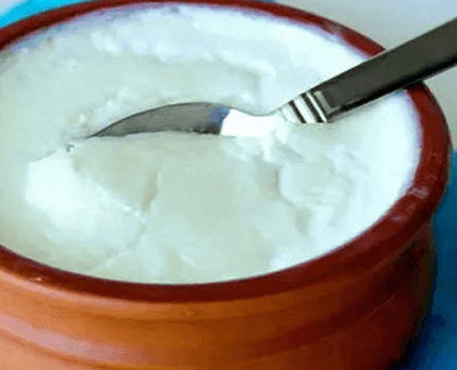 foods to improve your digestion system inside