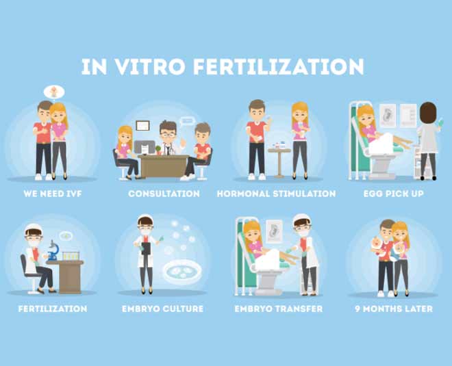 ivf fertilization