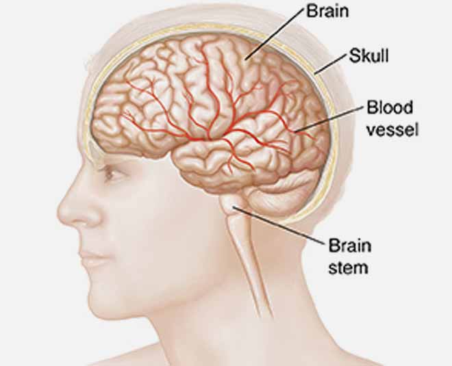 mind durning head injury tips inside