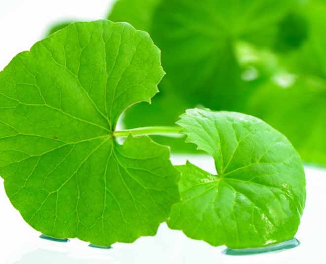 sharp brain herbs inside