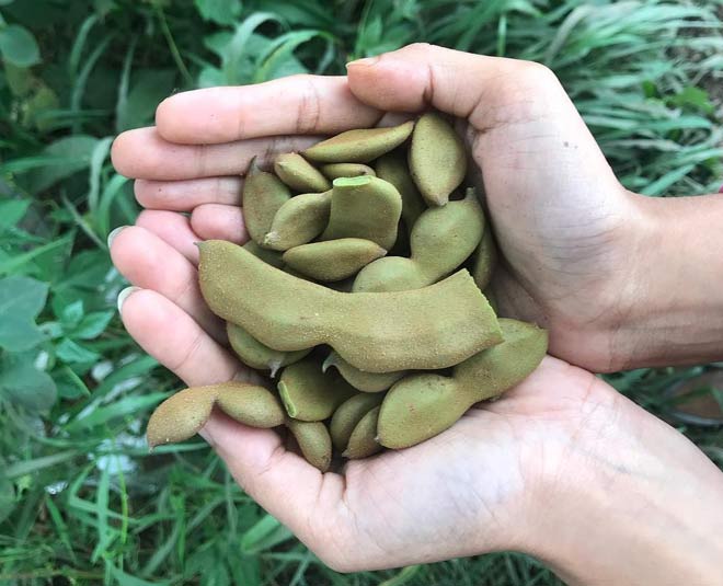 tamarind health benefits