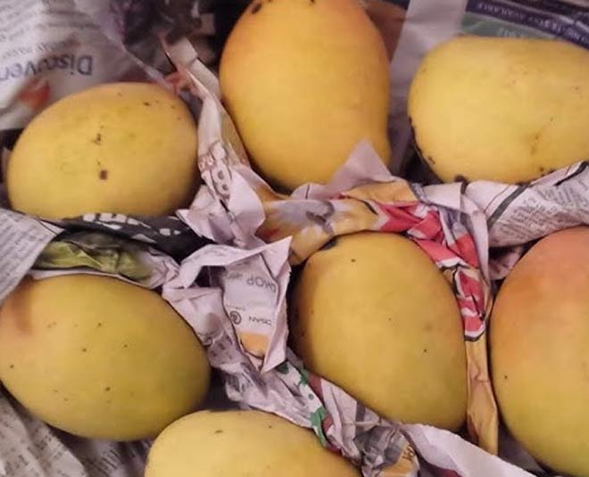 easy ways ripen green mangoes at home inside