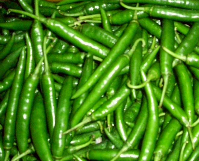 gujrat chilli