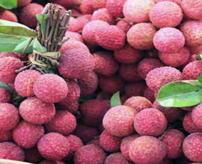 how to store litchi for long time inside