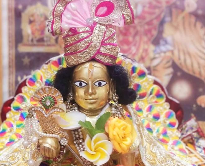 how to take care of laddu gopal