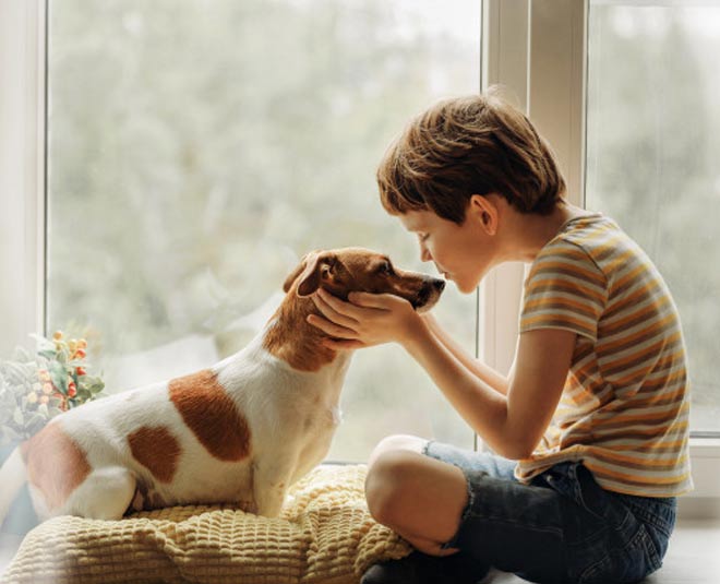 inside , animal care at home