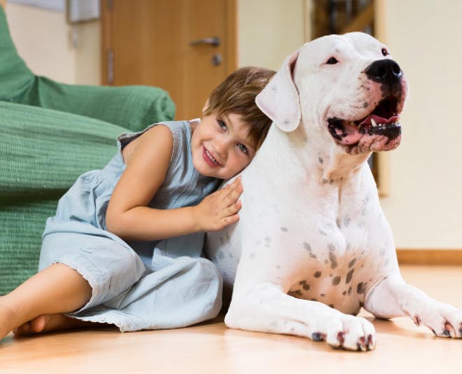 inside , dog care tips