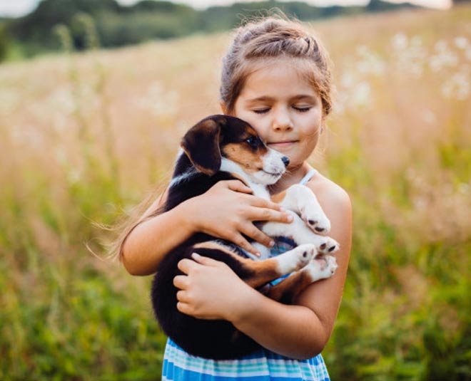 inside , pet and child care