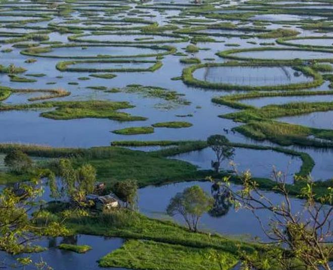 keibul lamjao national park in manipur inside