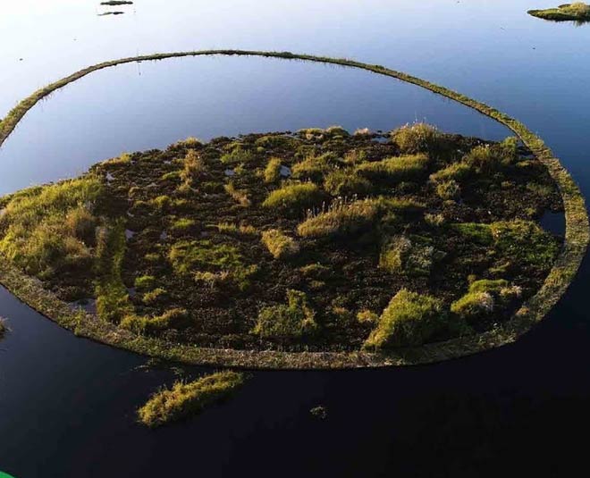 keibul lamjao national park in manipur inside