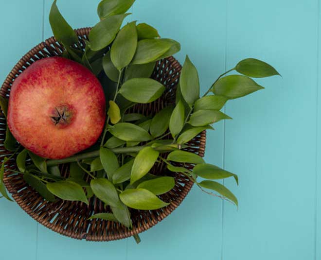 pomegranate leaves edible