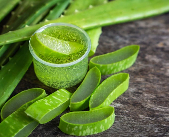 aloe vera gel for bed bugs