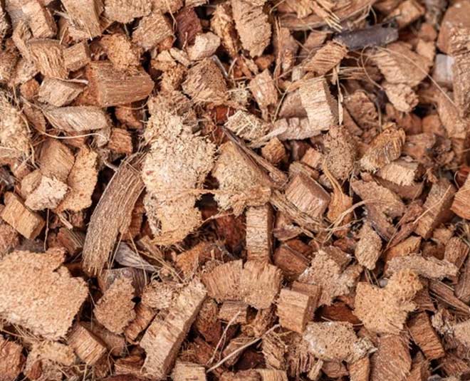 coco peat advantages