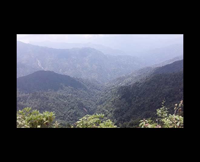 famous neora national park of west bengal