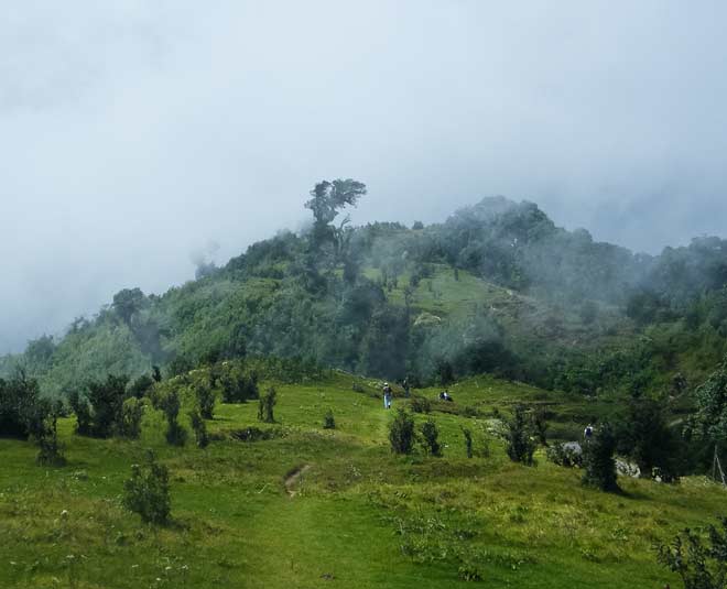 famous singlila national park of west bengal
