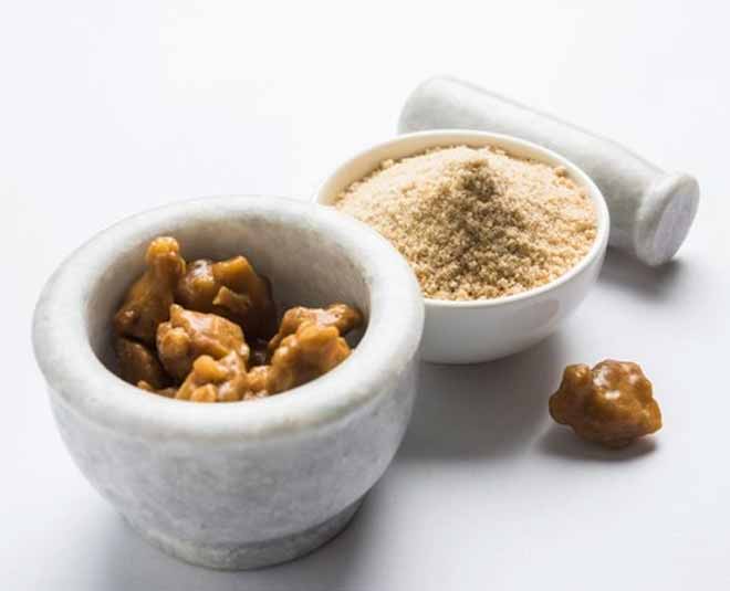 hing plant growing tips