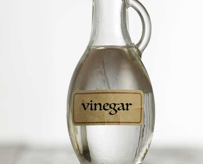 how to get rid of whitefly in