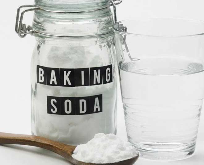 how to get rid of whitefly inside