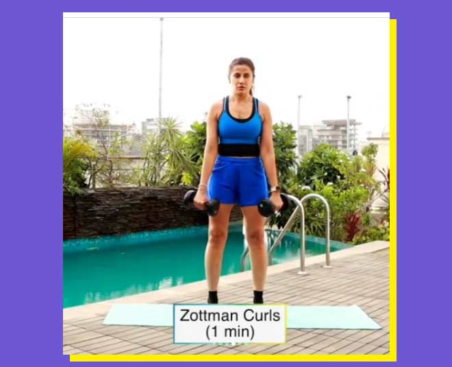 zottman curls