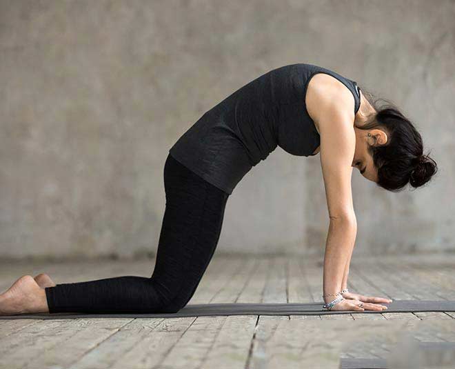 cat cow pose for thyroid