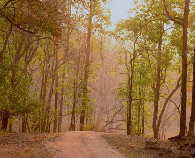 dhudhwa national park