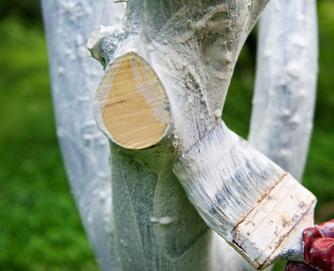 different uses of lime powder Inside