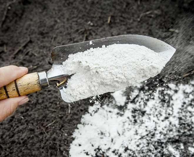 different uses of lime powder Inside