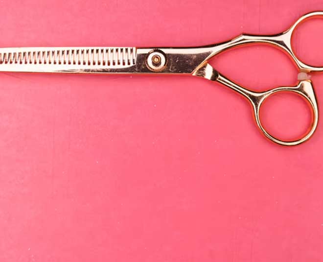 hair shears