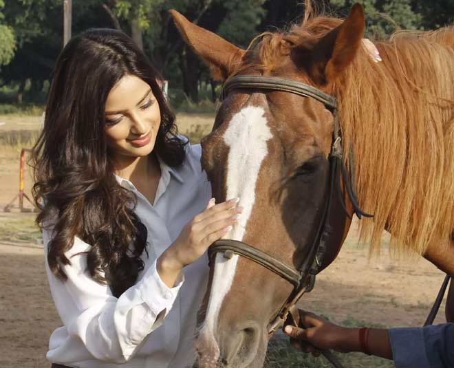 harnaaz sandhu intresting facts