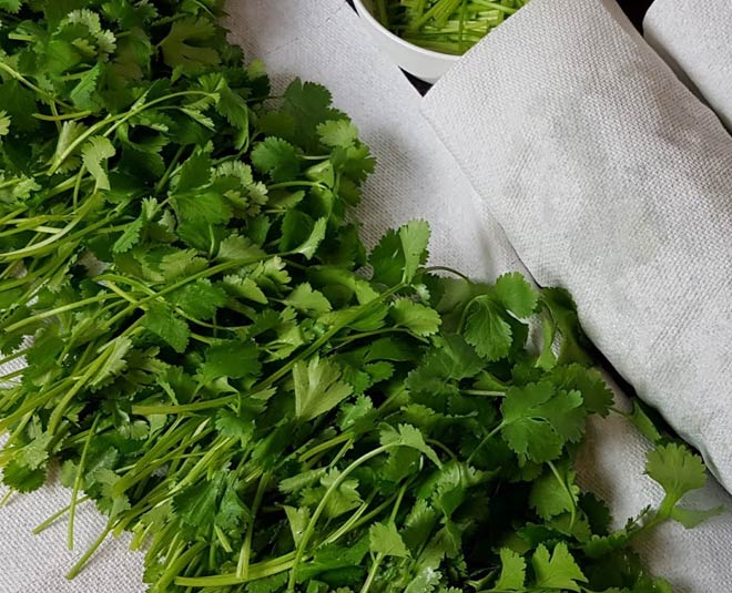 how to store fresh herbs