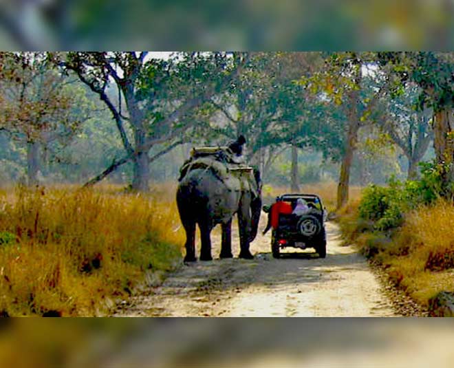 jim corbett