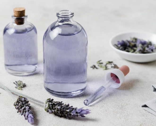 lavender essential oil tips for garden