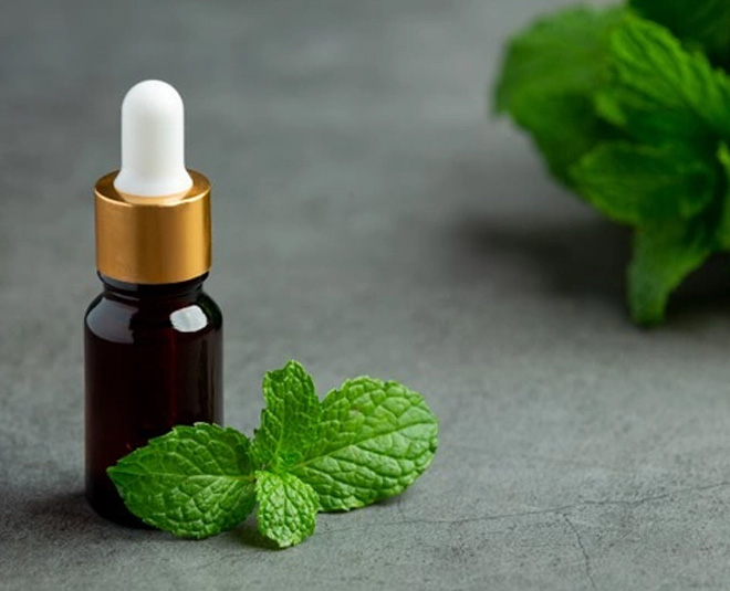 pepper mint essentials oil tips for garden