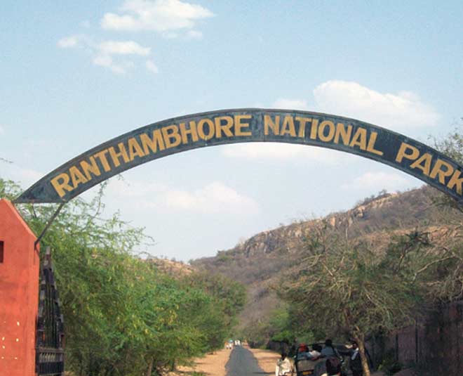 ranthambore national park