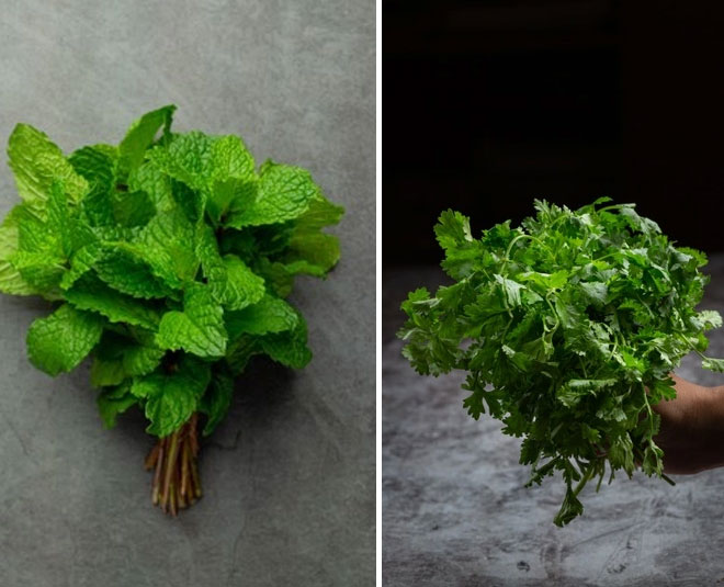 tips to buy fresh herbs