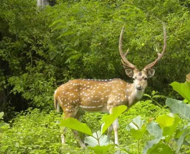 best places to visit in dehradun inside